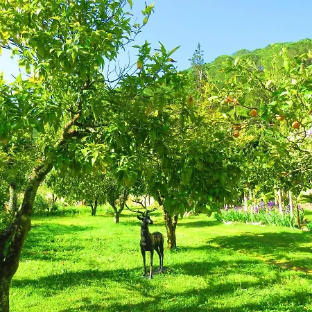 Charming House In With View Porto de Mós