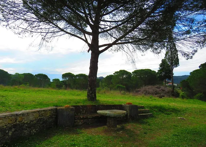 Дом отдыха Charming House With Shared Pool In Porto De Mos.