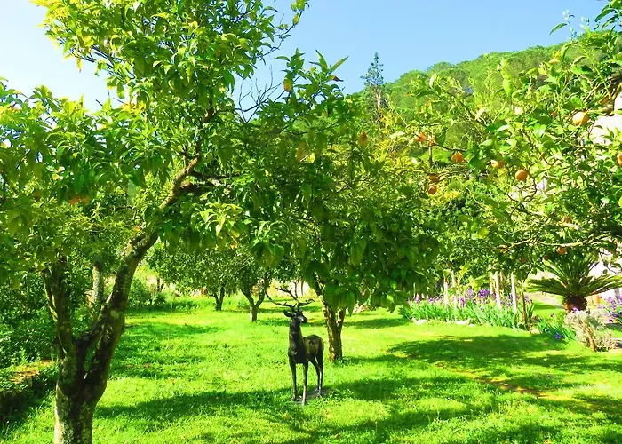 Charming House With Shared Pool In Porto De Mos. Порту-ди-Мош